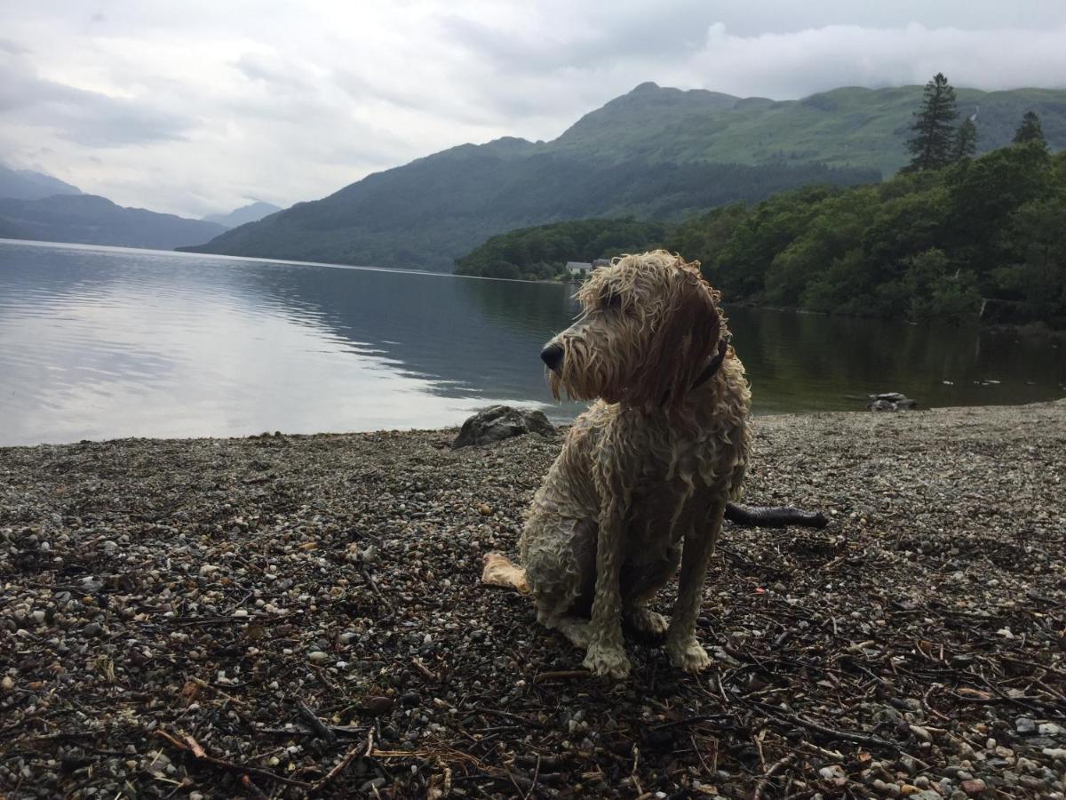 Ben Lomond Lodge Rowardennan Zewnętrze zdjęcie